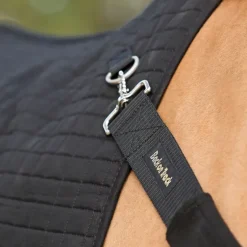 Back on Track Back Warmer Royal Protege dos