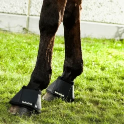 Back On Track Cloches Cheval