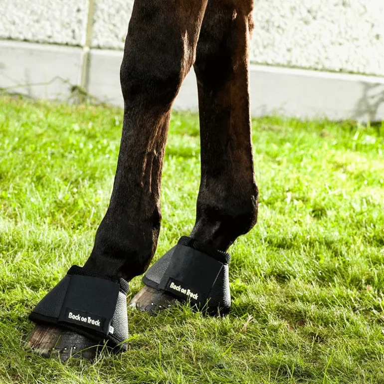 Back On Track Cloches Cheval