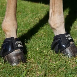 Back On Track Cloches Royal Performance