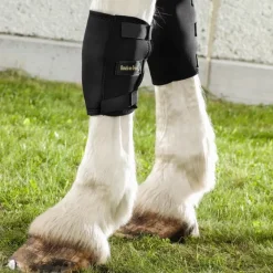 Back On Track Genouillère Gauche Cheval