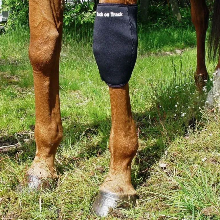 Back On Track Genouillère Gauche Cheval