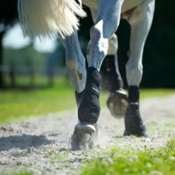 Back On Track Guêtres Travail Cheval Noir