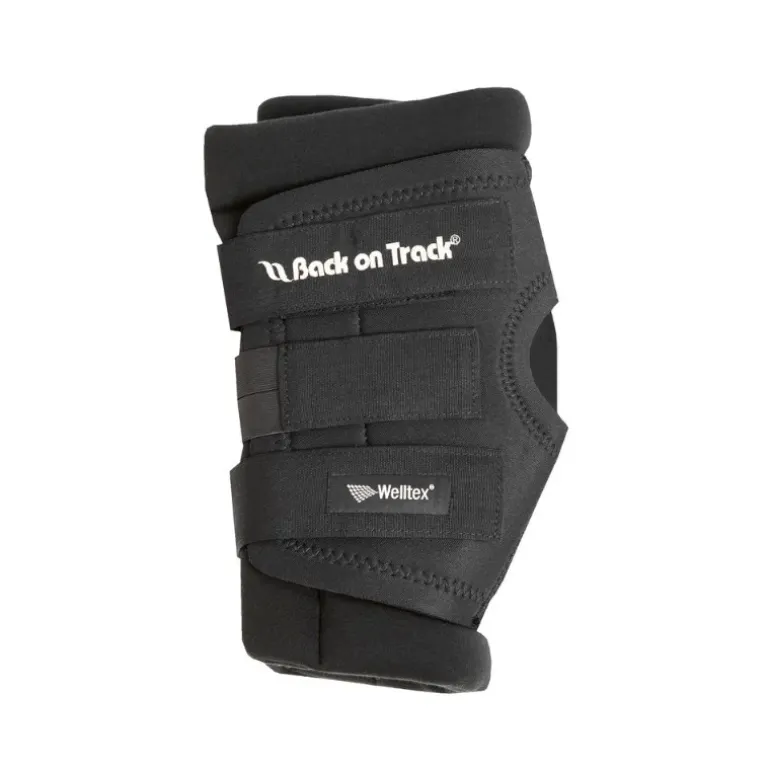 Back on Track Protege Jarret Cheval Royal