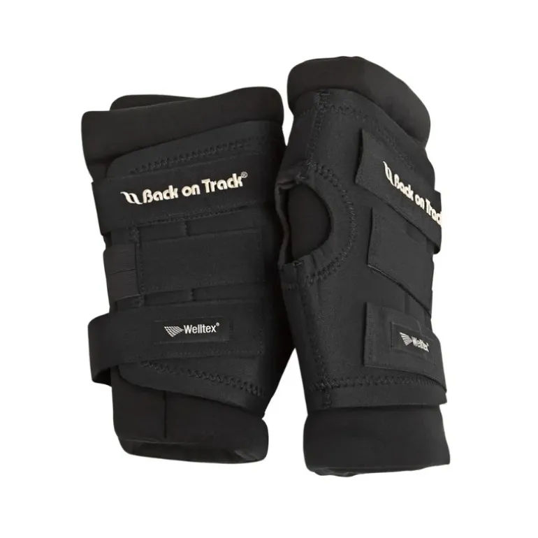 Back on Track Protege Jarret Cheval Royal