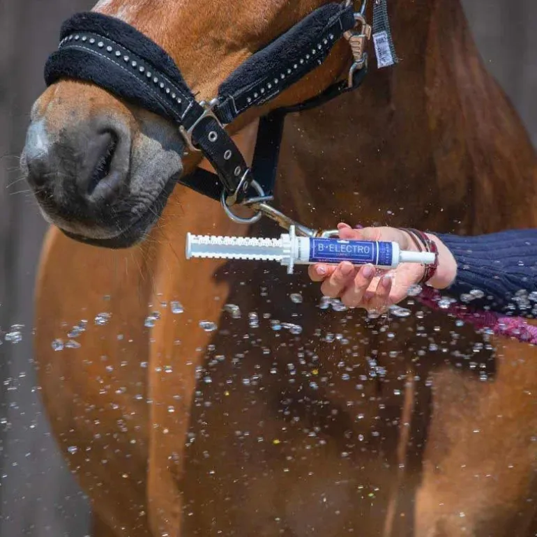 Bleu-Roy B-Electro Compact