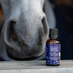 Bleu-Roy Sarco-Rescue