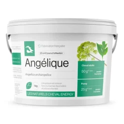 Cheval Energy Angélique