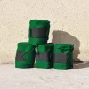 Cheval Energy Bande de Repos (set de 4) - Vert