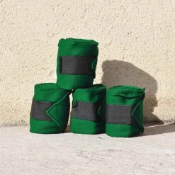 Cheval Energy Bande de Repos (set de 4) - Vert
