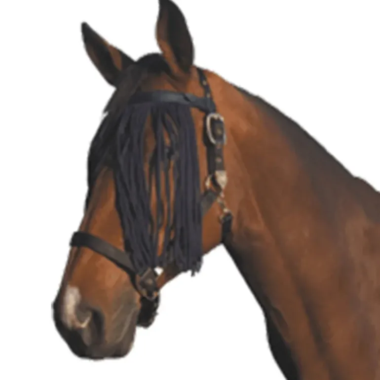 Cheval Energy Chasse-Mouches