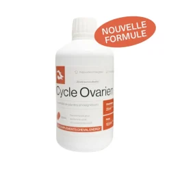Cheval Energy Cycle Ovarien