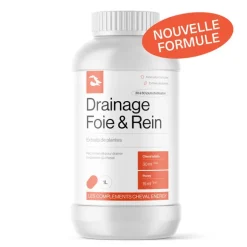 Cheval Energy Drainage Foie & Rein
