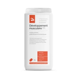 Cheval Energy Développement Musculaire