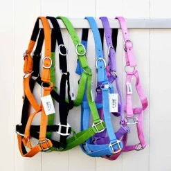 Cheval Energy Licol en Nylon - Violet