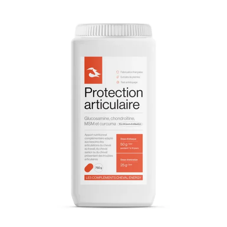 Cheval Energy Protection Articulaire