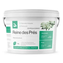 Cheval Energy Reine des Prés Articulations Cheval