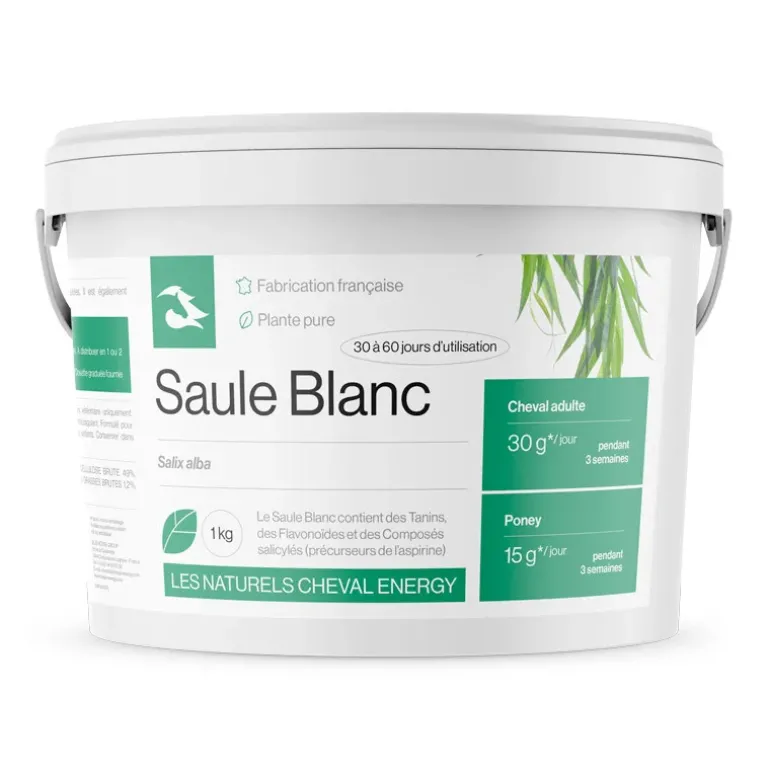 Cheval Energy Saule Blanc Articulations Cheval