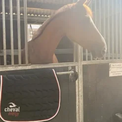 Cheval Energy Tapis CSO