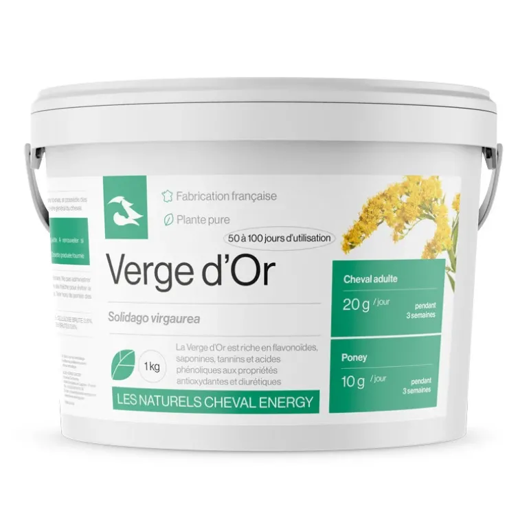 Cheval Energy Verge d'Or