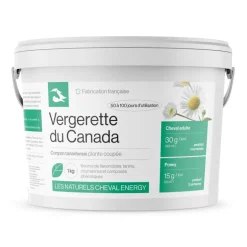 Cheval Energy Vergerette du Canada