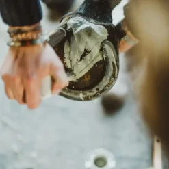 Cura Naturale Argile Assainissante Sabots