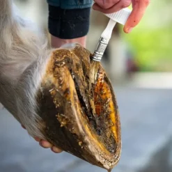 Cura Naturale Huile Sabots Sensibles