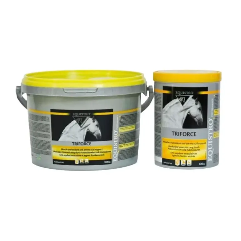 Equistro Triforce