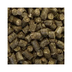 Friandise Cheval Sans Céréales SPEED Saveur Pomme