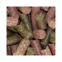 Friandise Cheval SPEED Delicious Speedies Mix de Goûts