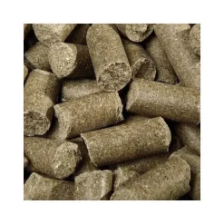 Friandise Cheval SPEED Delicious Speedies Eucalyptus