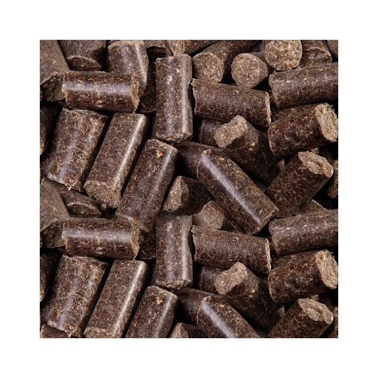 Friandise Cheval SPEED Saveur Réglisse