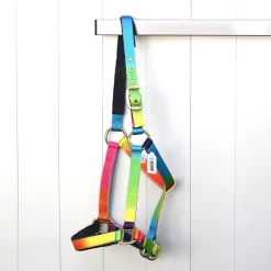 Gamme du Maréchal Licol - Multicolore