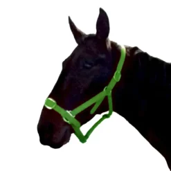 Gamme du Maréchal Licol en biothane - Vert