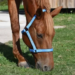 Gamme du Maréchal Licol Nylon Triple Épaisseur - Vert