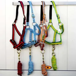 Gamme du Maréchal Licol Triple Épaisseurs + Longe - Gris / Orange