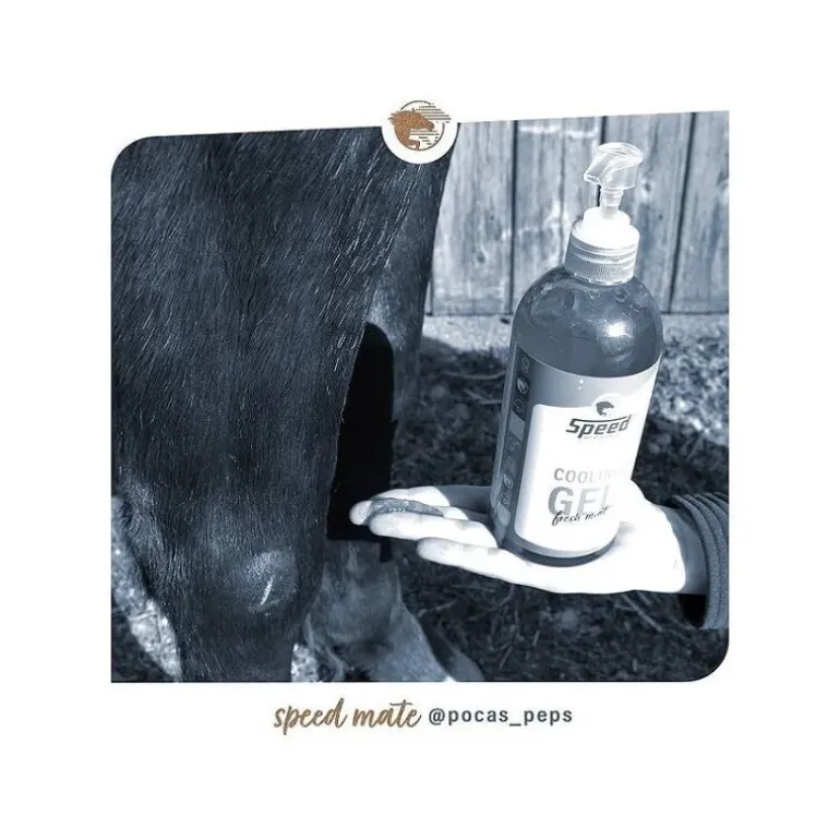 Gel Refroidissant Cheval SPEED Cooling Gel