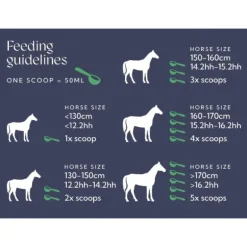 Hilton Herbs Equimmune / Equimmune Gold