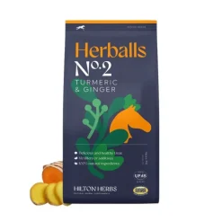 Hilton Herbs Herballs n°2 Curcuma & Gingembre Friandises Cheval