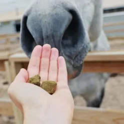 Hilton Herbs Herballs n°4 Myrtille & Thym Friandises Cheval