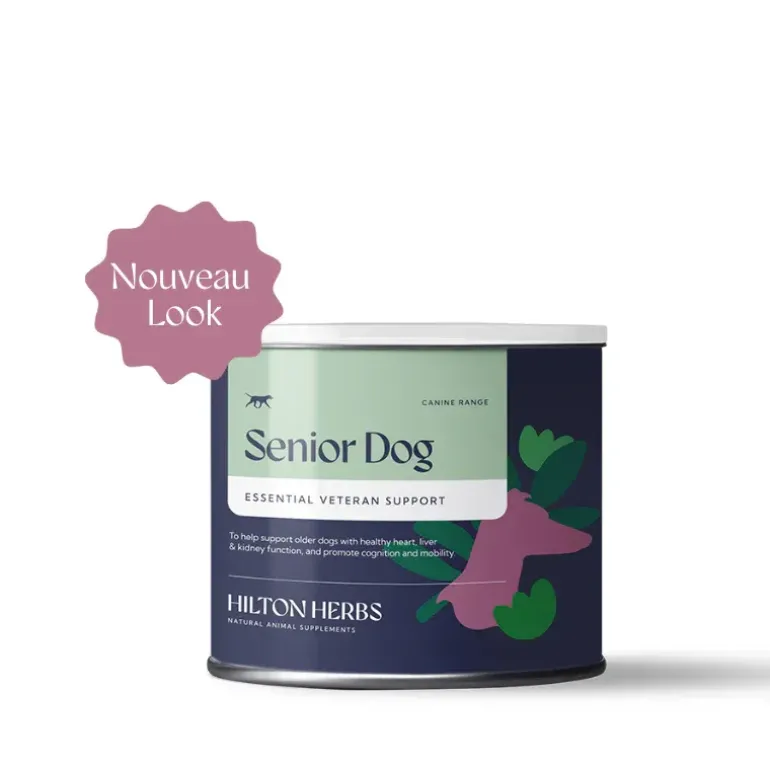 Hilton Herbs Senior Dog
