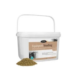 Horse Master Equisport Yearling