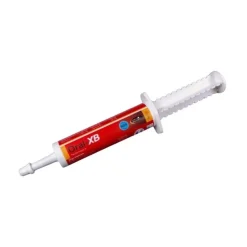 Horse Master Oral XB Booster Cheval