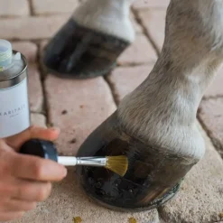 Karitale Huile de Soin pour Sabot