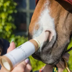 Karitale Soin Anti UV