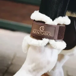 Kentucky Protège Boulets Jeunes Chevaux Mouton Marron