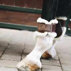 Kentucky Protège Boulets Jeunes Chevaux Mouton Marron