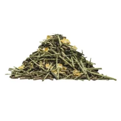 Lambey Master Elevage Floconné Poulinière & Poulain