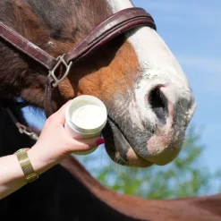 Natural Innov Natural'Sun