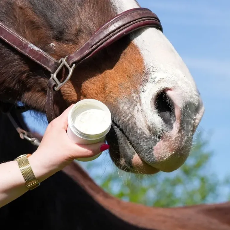 Natural Innov Natural'Sun